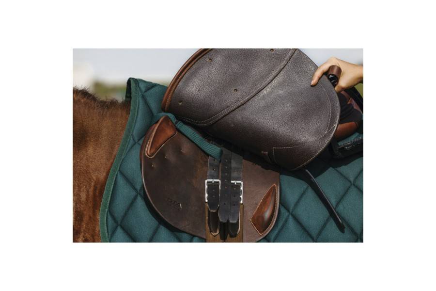 Sudadero Uso General Riding World School Verde Oscuro | Calvet Animals i