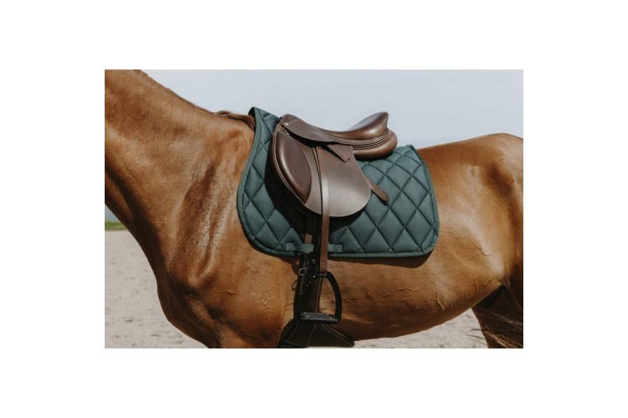 Suador Ús General Riding World School Verd Fosc | Complements selles