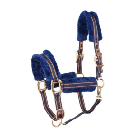 Morralla Quadra Lexhis Deluxe Blau/Rosa Or | 