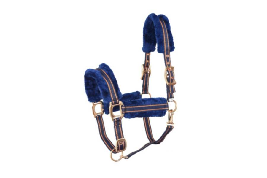 Morralla Quadra Lexhis Deluxe Blau/Rosa Or | 