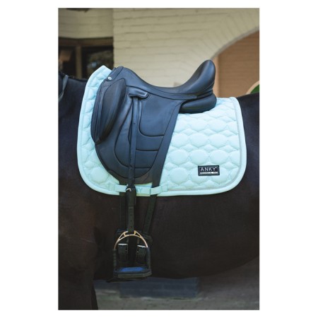 Suador Doma ANKY Suede XB251112 Canal Blue | Complements selles