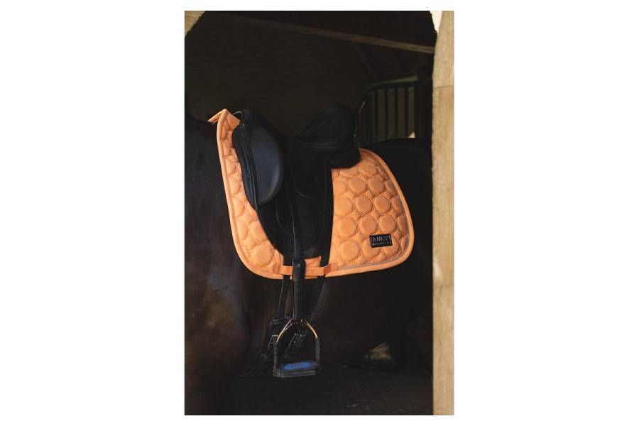 Sudadero Doma ANKY Suede XB251112 Gold Sunset | Calvet Animals