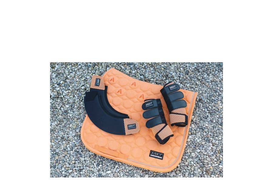 Sudadero Doma ANKY Suede XB251112 Gold Sunset | Calvet Animals