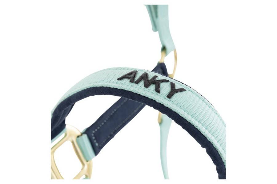 Cabezada Cuadra ANKY+Ramal ATH251001 Canal Blue | Calvet