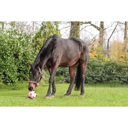 Pelota Caballo HKM Fun Rosa | Calvet Animals i Plantes