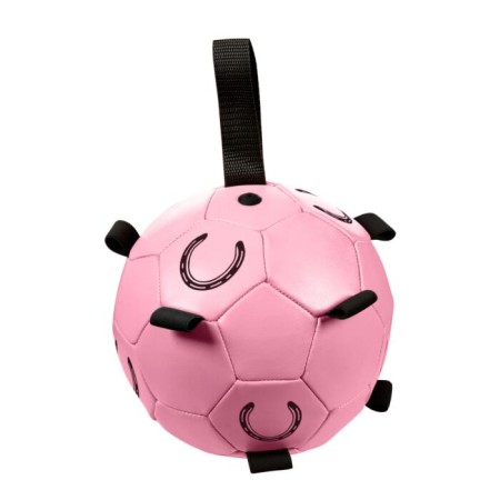 Pelota Caballo HKM Fun Rosa | Calvet Animals i Plantes
