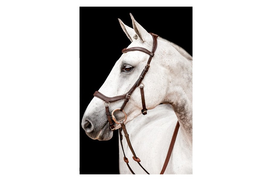 Morralla Anglesa Horseware Micklem 2 Marró | Morralles