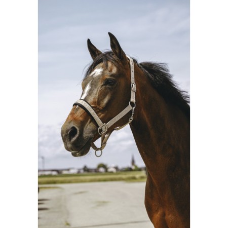 Morralla Quadra Nylon Equitheme Jacquard Grisa | Morralles