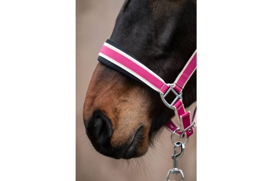 Morralla Quadra HKM + Ramal Kopenhagen Magenta | Morralles