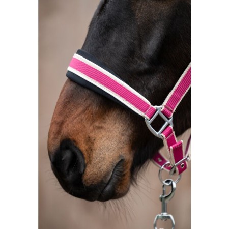 Cabezada Cuadra HKM + Ramal Kopenhagen Magenta | Calvet Animals