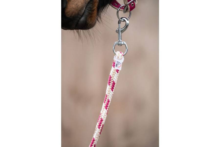 Cabezada Cuadra HKM + Ramal Kopenhagen Magenta | Calvet Animals