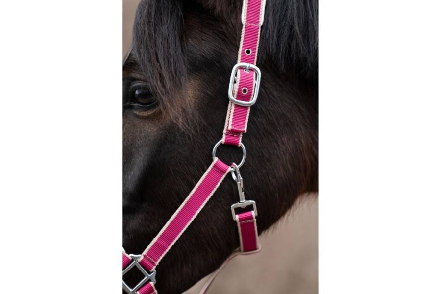 Cabezada Cuadra HKM + Ramal Kopenhagen Magenta | Calvet Animals