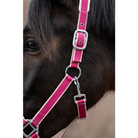 Morralla Quadra HKM + Ramal Kopenhagen Magenta | Morralles