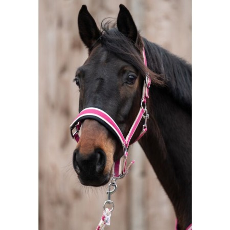 Morralla Quadra HKM + Ramal Kopenhagen Magenta | Morralles