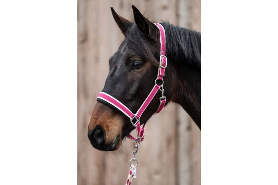 Morralla Quadra HKM + Ramal Kopenhagen Magenta | Morralles