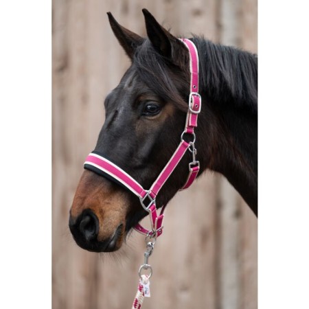 Cabezada Cuadra HKM + Ramal Kopenhagen Magenta | Calvet Animals