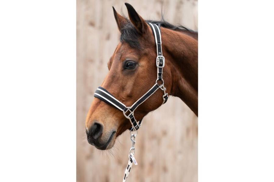 Cabezada Cuadra HKM + Ramal Kopenhagen Negra | Calvet Animals i