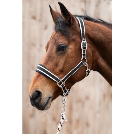 Cabezada Cuadra HKM + Ramal Kopenhagen Negra | Calvet Animals i