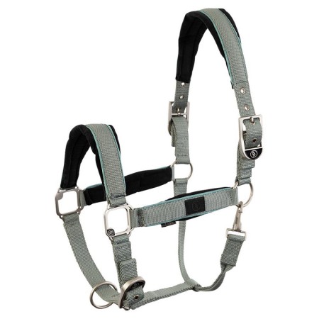 Cabezada Cuadra BR Inge Slate Gray | Calvet Animals i Plantes