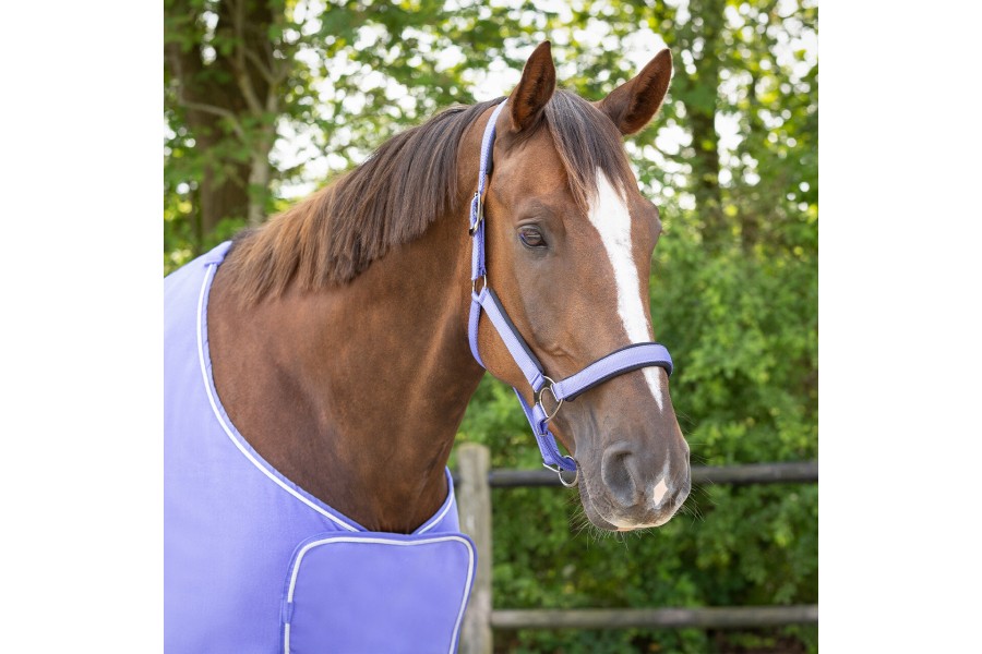 Morralla Quadra QHP Deluxe Purple | Morralles