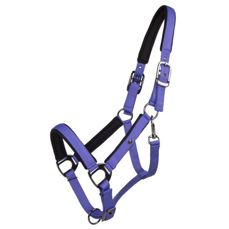 Morralla Quadra QHP Deluxe Purple | Morralles