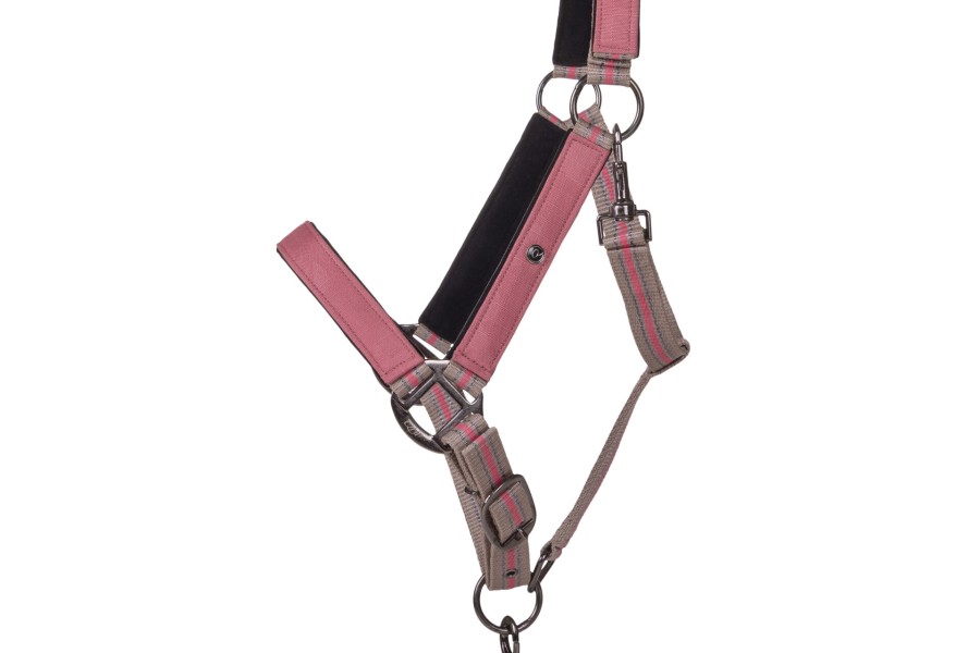 Cabezada Cuadra QHP + Ramal Collection Flamingo | Calvet