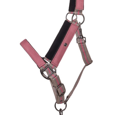 Cabezada Cuadra QHP + Ramal Collection Flamingo | Calvet