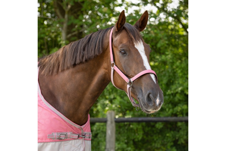 Morralla Quadra QHP + Ramal Collection Flamingo | Morralles