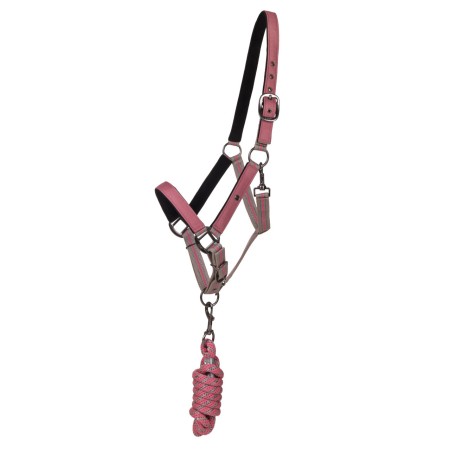 Cabezada Cuadra QHP + Ramal Collection Flamingo | Calvet