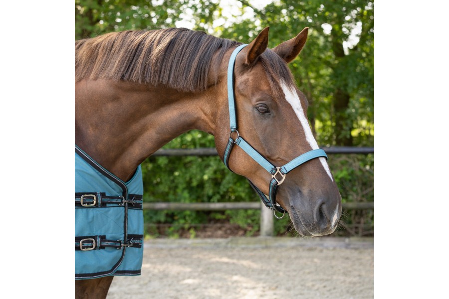 Cabezada Cuadra QHP + Ramal Collection Ocean Breeze | Calvet