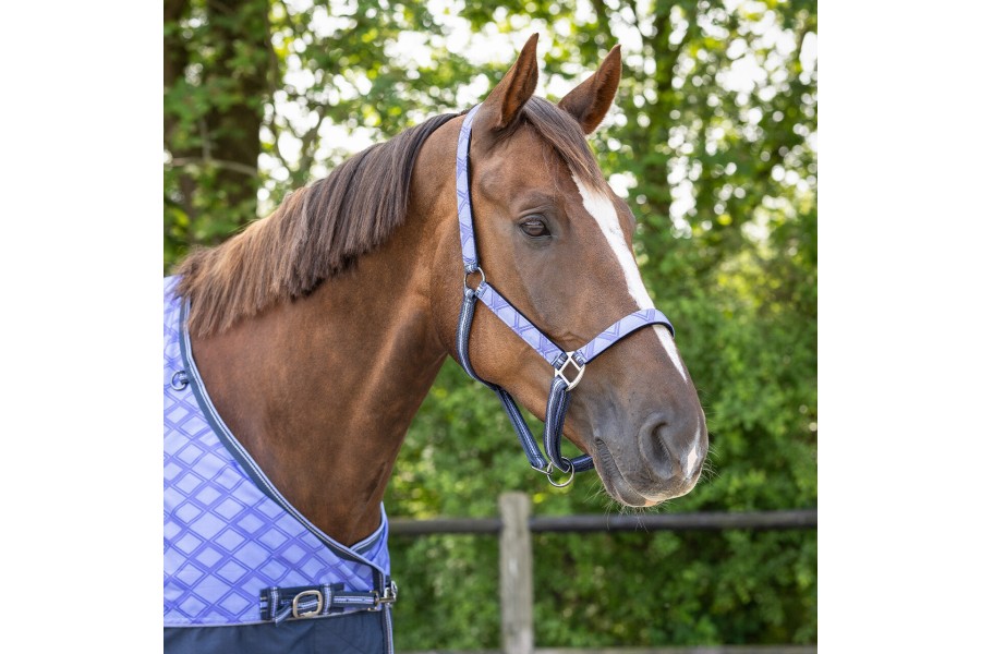 Morralla Quadra QHP + Ramal Collection Purple Sunset | Morralles