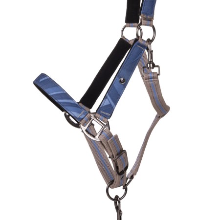 Cabezada Cuadra QHP + Ramal Collection Seashell | Calvet 2