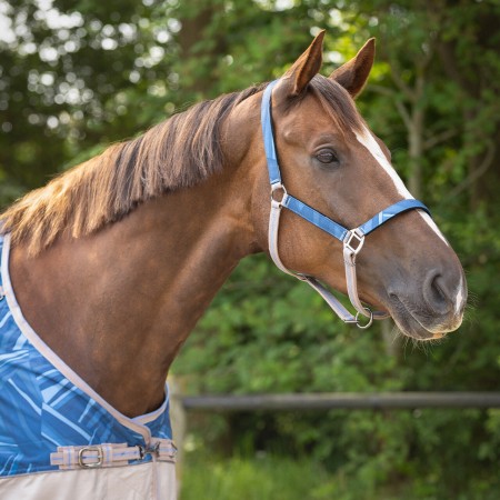 Cabezada Cuadra QHP + Ramal Collection Seashell | Calvet