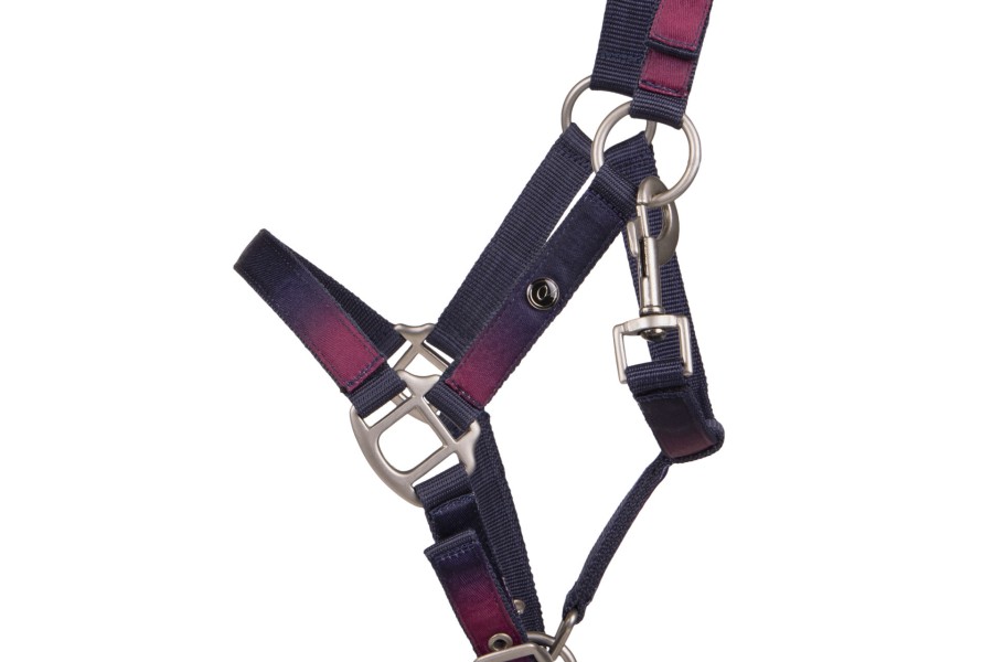 Cabezada Cuadra QHP + Ramal Jaily Ombre | Calvet Animals i