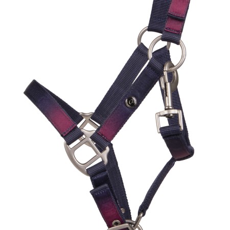 Cabezada Cuadra QHP + Ramal Jaily Ombre | Calvet Animals i