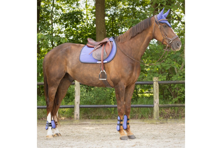 Sudadero Uso General QHP Nyomi Purple Sunset | Calvet Animals i