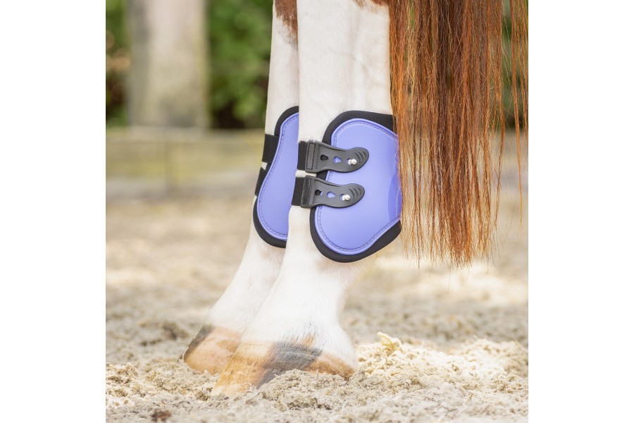 Protectores QHP Purple (4) | Calvet Animals i Plantes