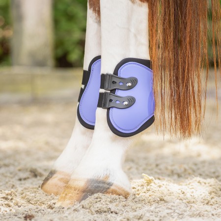 Protectores QHP Purple (4) | Calvet Animals i Plantes