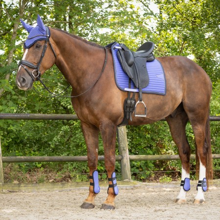 Protectors QHP Purple (4) | Proteccions