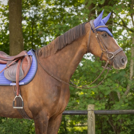 Orelleres QHP Nyomi Purple Sunset | Morralles