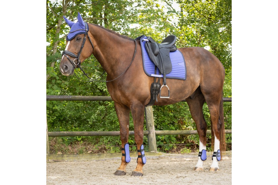 Orejeras QHP Nyomi Purple Sunset | Calvet Animals i Plantes