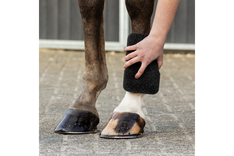 Esponja Caballo QHP Super Shiner Negra | Calvet Animals i