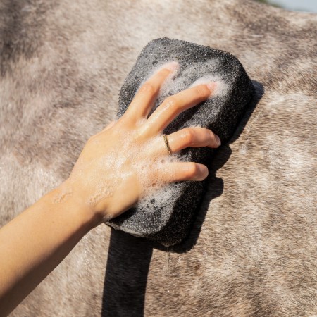 Esponja Caballo QHP Super Shiner Negra | Calvet Animals i