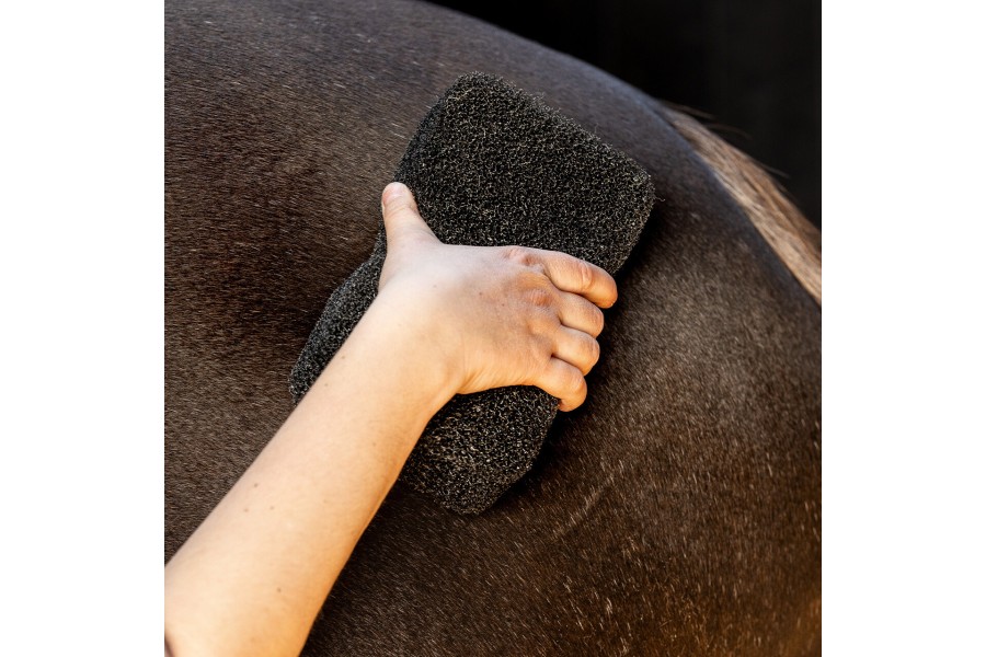 Esponja Caballo QHP Super Shiner Negra | Calvet Animals i