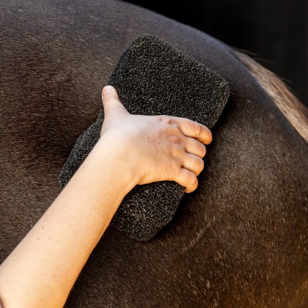 Esponja Caballo QHP Super Shiner Negra | Calvet Animals i
