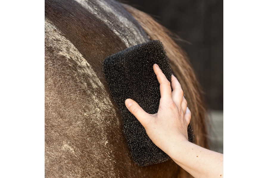 Esponja Caballo QHP Super Shiner Negra | Calvet Animals i