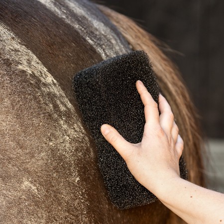 Esponja Cavall QHP Super Shiner Negra | Higiene i Cura