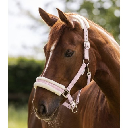 Cabezada Cuadra Waldhausen Elegant Rosa | Calvet Animals i 2