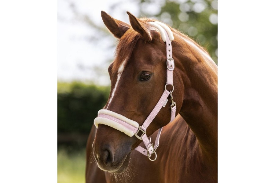 Morralla Quadra Waldhausen Elegant Rosa | Morralles