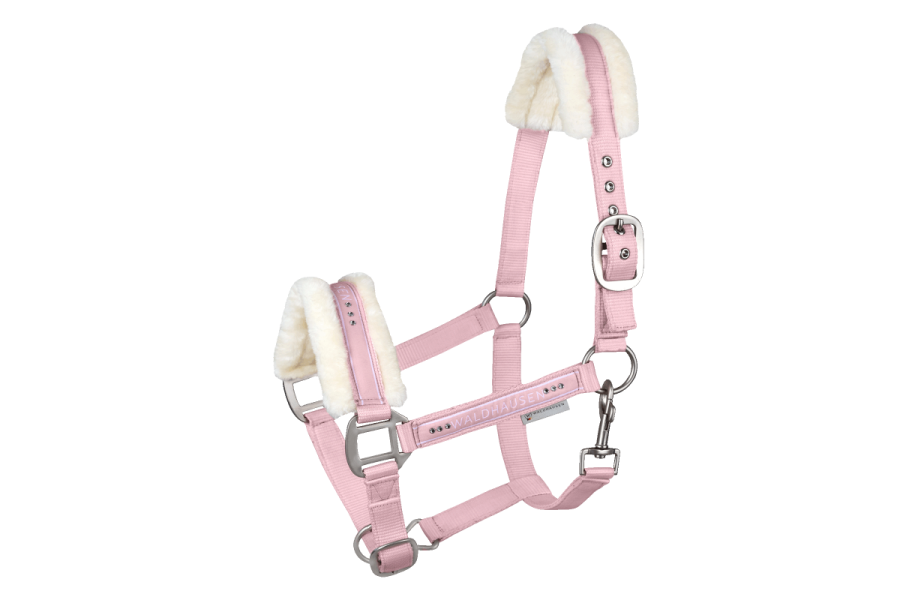 Cabezada Cuadra Waldhausen Elegant Rosa | Calvet Animals i